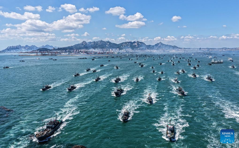 Uchumi wa uvuvi wa baharini wastawi katika Mkoa wa Shandong wa China