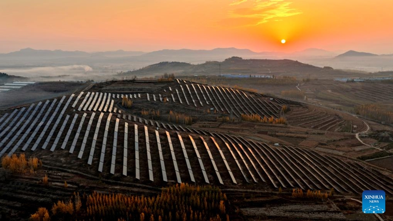 Mkoa wa Shandong wa China waendeleza nishati za kijani ili kusukuma mbele kubadilisha muundo mpya wa nishati