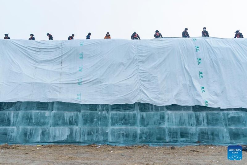 Wafanyakazi wakiondoa vitu vilivyofunika juu ya michemiraba ya barafu kwenye eneo la kuhifadhi barafu kwa ajili ya ujenzi wa Dunia ya Barafu na Theluji ya Harbin katika Mkoa wa Heilongjiang, kaskazini-mashariki mwa China, Novemba 24, 2025. (Xinhua/Xie Jianfei)
