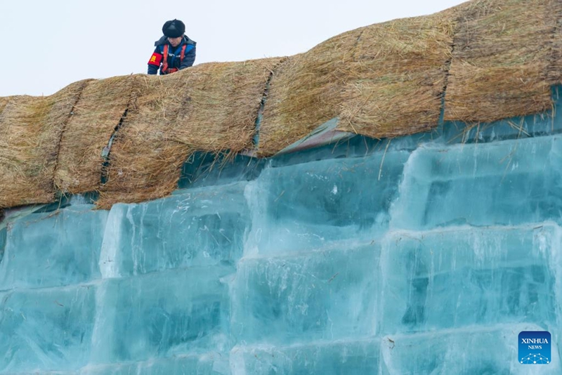 Mfanyakazi akiondoa vitu vilivyofunika juu ya michemiraba ya barafu kwenye eneo la kuhifadhi barafu kwa ajili ya ujenzi wa Dunia ya Barafu na Theluji ya Harbin katika Mkoa wa Heilongjiang, kaskazini-mashariki mwa China, Novemba 24, 2025. (Xinhua/Xie Jianfei)