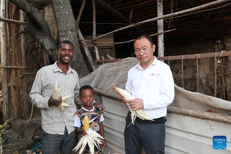 Abu Negash (kushoto), na mahindi yaliyovunwa punde, akiwa kwenye picha ya pamoja na mwanawe na mtaalamu wa kilimo wa China kwenye Kijiji cha Godino Jitu katika Mkoa wa Oromia, Ethiopia, Novemba 26, 2025. (Xinhua/Liu Fangqiang)