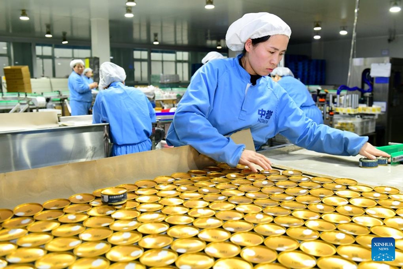 Uchumi wa wanyama kipenzi waendelea kwa kasi katika wilaya ya Caoxian mkoani Shandong, China