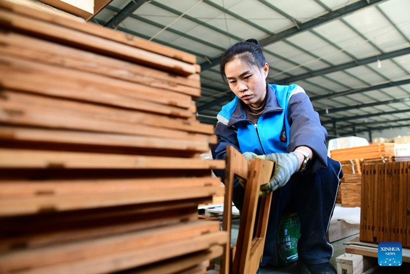 Uchumi wa wanyama kipenzi waendelea kwa kasi katika wilaya ya Caoxian mkoani Shandong, China