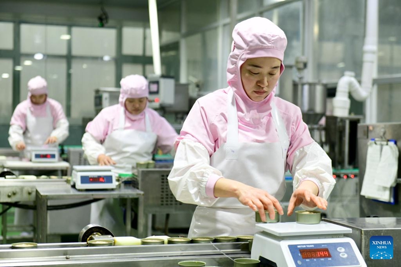 Uchumi wa wanyama kipenzi waendelea kwa kasi katika wilaya ya Caoxian mkoani Shandong, China