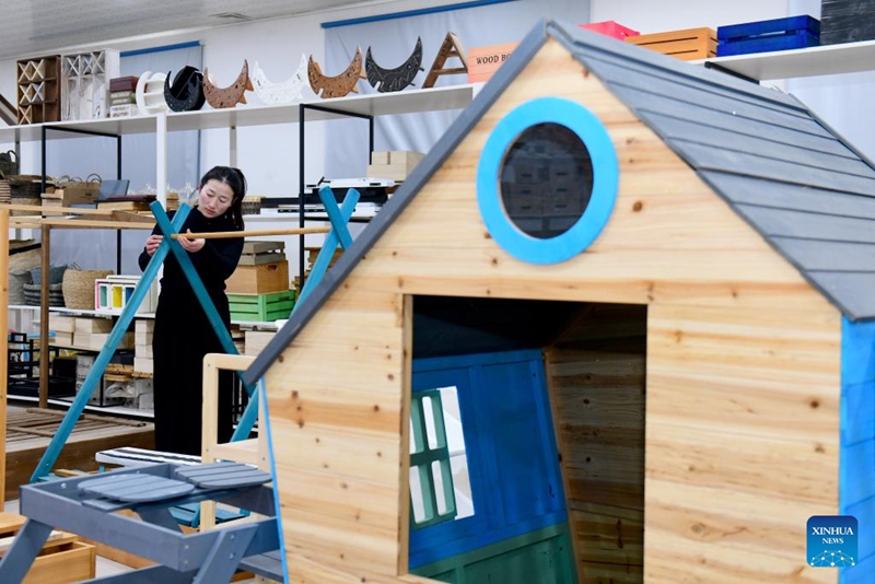 Uchumi wa wanyama kipenzi waendelea kwa kasi katika wilaya ya Caoxian mkoani Shandong, China