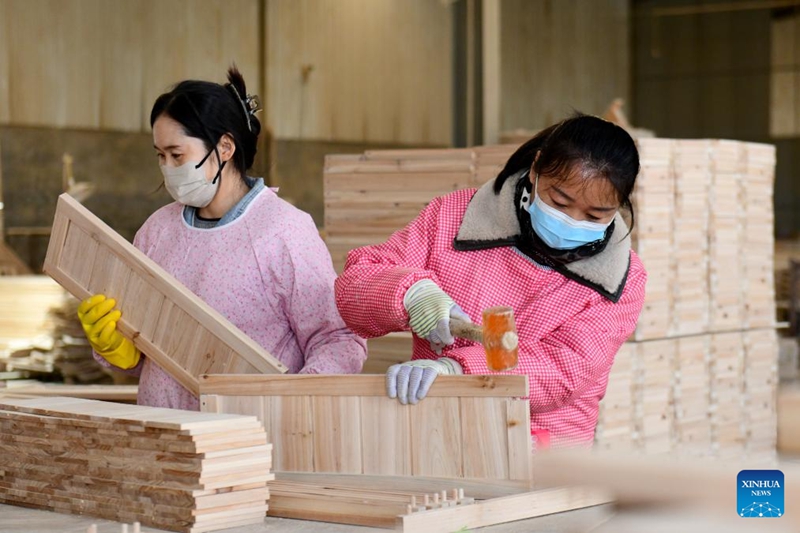 Uchumi wa wanyama kipenzi waendelea kwa kasi katika wilaya ya Caoxian mkoani Shandong, China