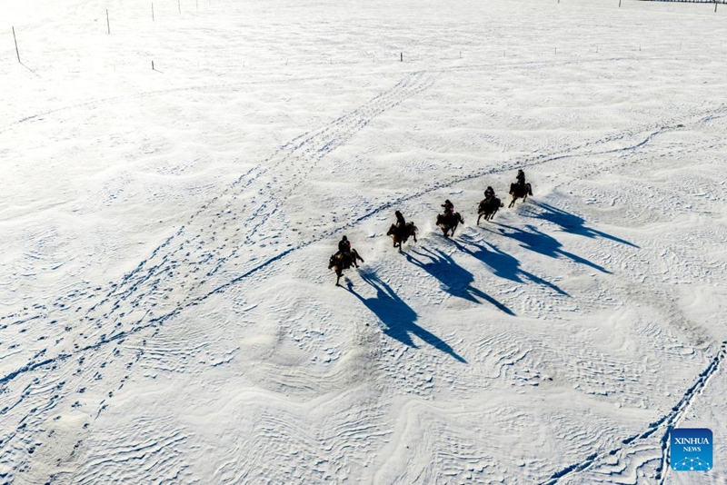 Kikosi cha polisi wapanda farasi cha