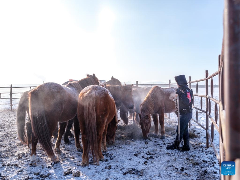 Kikosi cha polisi wapanda farasi cha