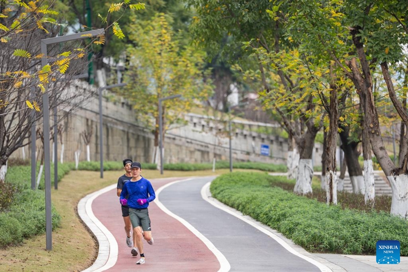 Mji wa Chongqing wa China Waimarisha Nguvu ya Kuhifadhi Mazigira