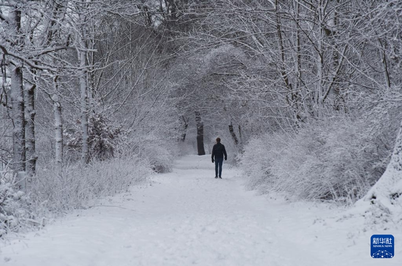 Baridi kali yafika Ulaya, yatatiza usafiri na maisha ya watu