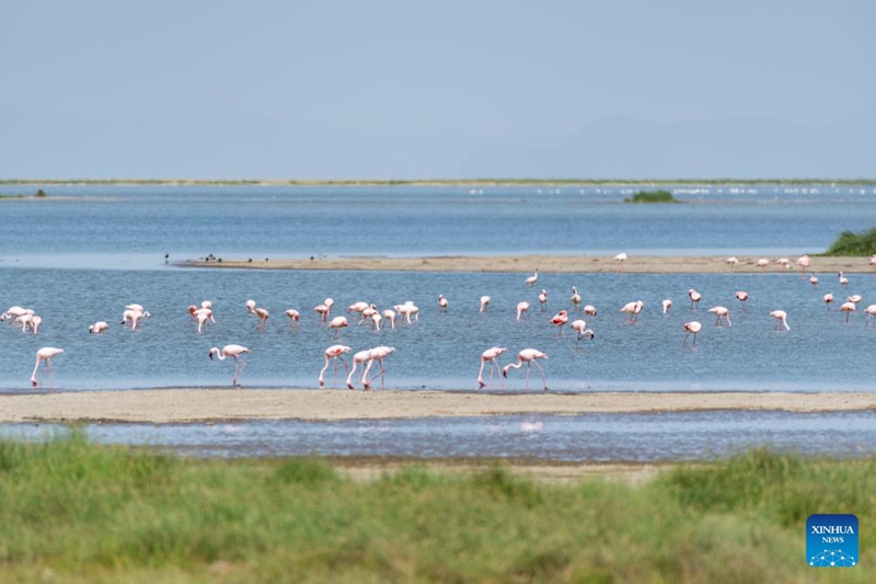 Wanyamapori wakiwa kwenye Hifadhi ya Taifa ya Amboseli ya Kenya