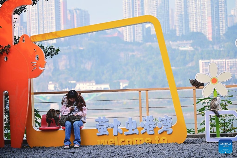 Eneo wazi lisilotumika labadilishwa kuwa bustani maalum ya paka vipenzi wa binadamu katika Mji wa Chongqing