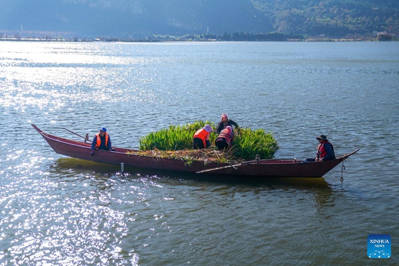 Ubora wa maji katika Ziwa Dianchi la Mkoa wa Yunnan wa China wadumisha kuwa katika kiwango cha juu cha ubora