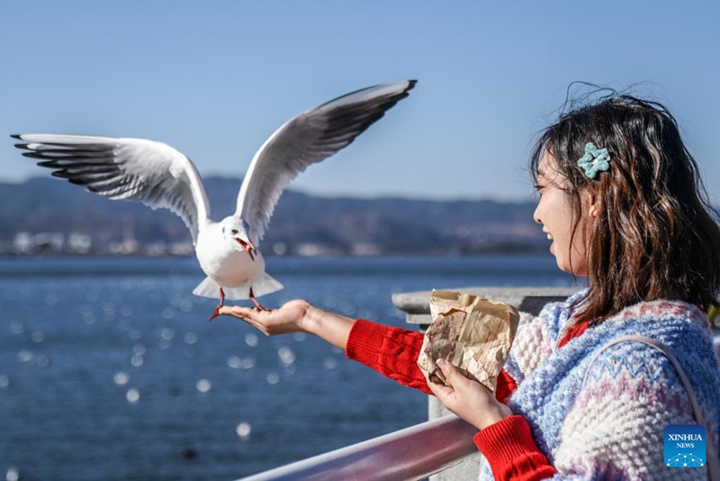 Ubora wa maji katika Ziwa Dianchi la Mkoa wa Yunnan wa China wadumisha kuwa katika kiwango cha juu cha ubora