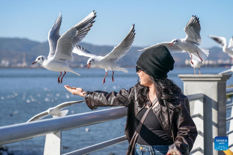 Ubora wa maji katika Ziwa Dianchi la Mkoa wa Yunnan wa China wadumisha kuwa katika kiwango cha juu cha ubora