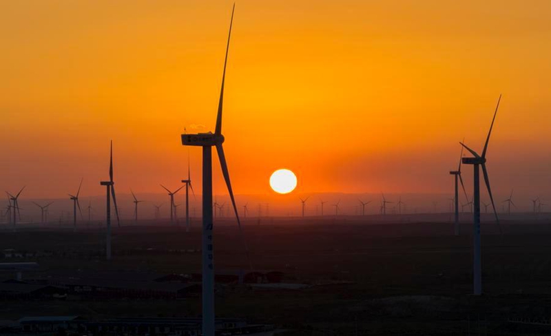 Kutoka Jangwani hadi Baharini: Nishati ya upepo yaunda msingi wa mageuzi ya kijani ya China