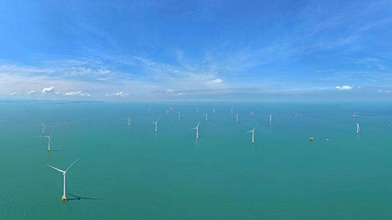 Kutoka Jangwani hadi Baharini: Nishati ya upepo yaunda msingi wa mageuzi ya kijani ya China