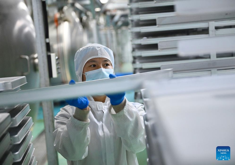 Mfanyakazi akifanya kazi kwenye karakana ya kugandisha na kukausha kahawa ya eneo maalum la kielelezo la viwanda vya kahawa katika Wilaya ya Puyang, Mkoa wa Henan, katikati mwa China, Januari 27, 2026. (Xinhua/Hao Yuan)