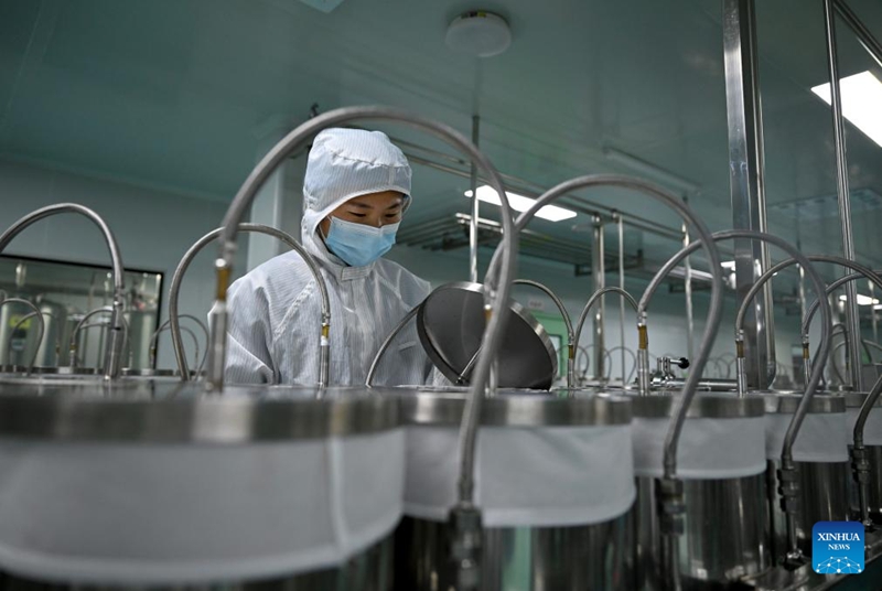 Wilaya ya Puyang ya China yajenga mfumo wa mnyororo kamili wa viwanda vya kuzalisha kahawa