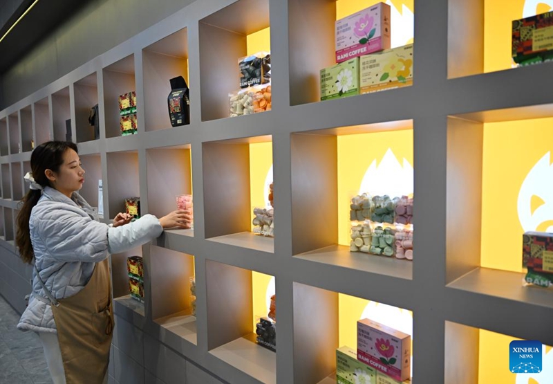 Wilaya ya Puyang ya China yajenga mfumo wa mnyororo kamili wa viwanda vya kuzalisha kahawa