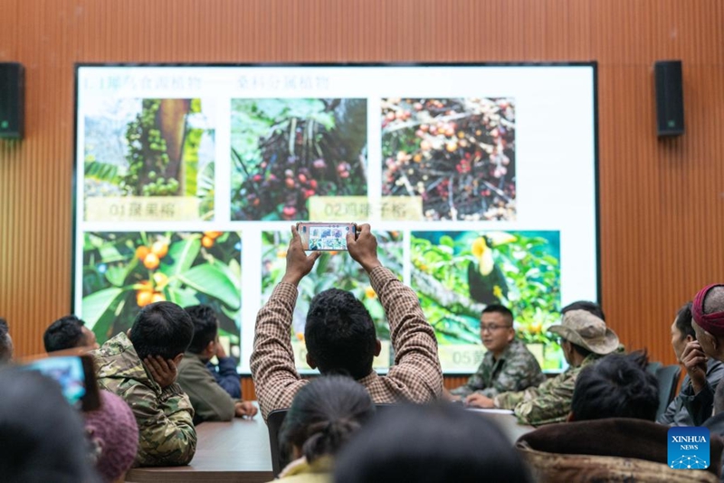 Habari Picha ya Timu ya Doria ya Ndege Hondohondo katika Mkoa wa Yunnan, China