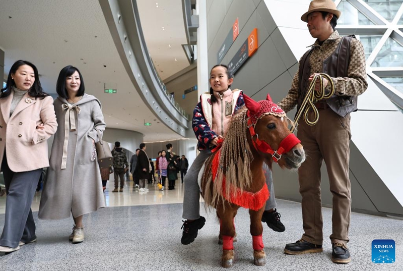 Mtoto wa kike akiendesha farasi wa Shetland kwenye Maajabu ya Farasi wa Kasi: Maonyesho ya Sayansi na Utamaduni ya Mwaka wa Farasi katika Jumba la Makumbusho ya Sayansi na Teknolojia la Shanghai mjini Shanghai, mashariki mwa China, Februari 10, 2026. (Xinhua/Fang Zhe)