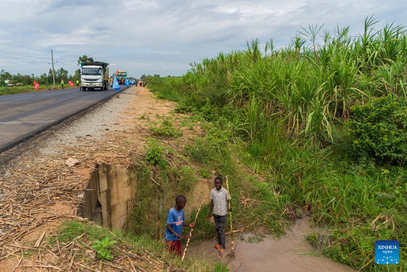 Watoto wawili wa kiume wakiosha miwa kando ya eneo la ujenzi wa sehemu ya pili ya mradi wa barabara kuu ya Kisumu-Muhoroni inayojengwa na Kampuni ya Ujenzi wa Nishati ya China kwenye eneo  kuu linalozalisha miwa la Kaunti ya Kisumu, Kenya, Februari 27, 2026. (Xinhua/Xie Jianfei)
