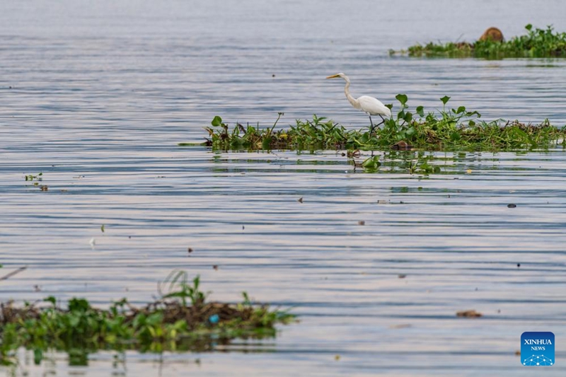 Ushirikiano wa China na Afrika wahimiza ukuaji endelevu katika eneo la Ziwa Victoria