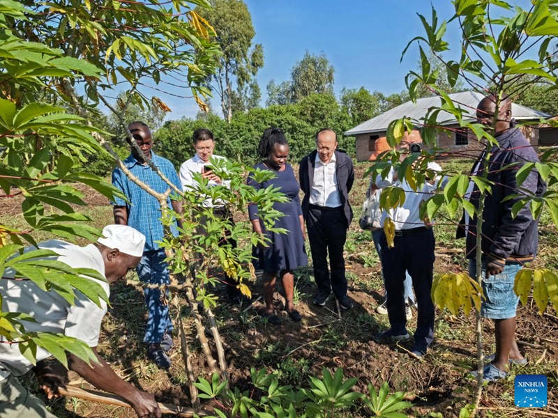 Ushirikiano wa China na Afrika wahimiza ukuaji endelevu katika eneo la Ziwa Victoria