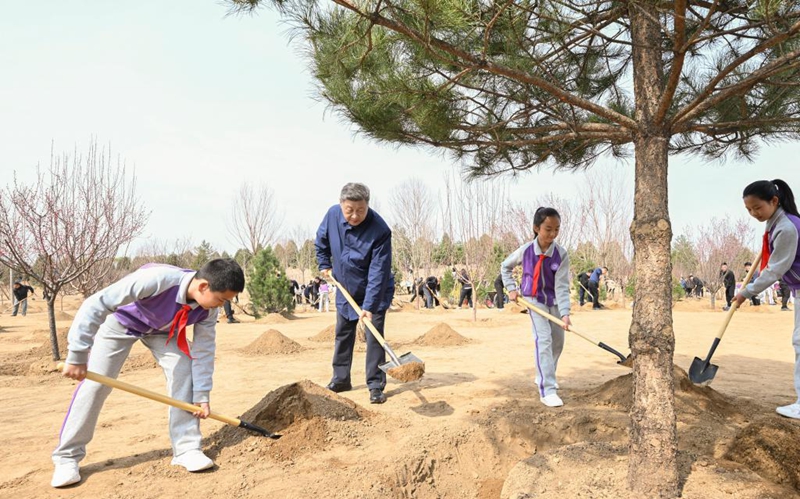 Rais wa China Xi Jinping, akipanda mti kwenye shughuli ya kujitolea kupanda miti katika   mji mdogo wa Baishan wa Eneo la Changping, Beijing, mji mkuu wa China, Machi 30, 2026. (Xinhua/Xie Huanchi)