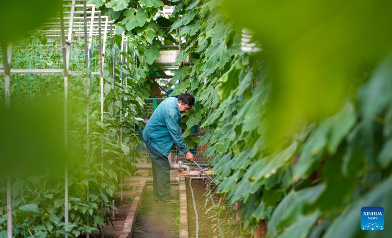Maandalizi ya Maonesho ya 27 ya kimataifa ya Sayansi na Teknolojia ya Mboga ya China (Shouguang) yaingia hatua ya mwisho