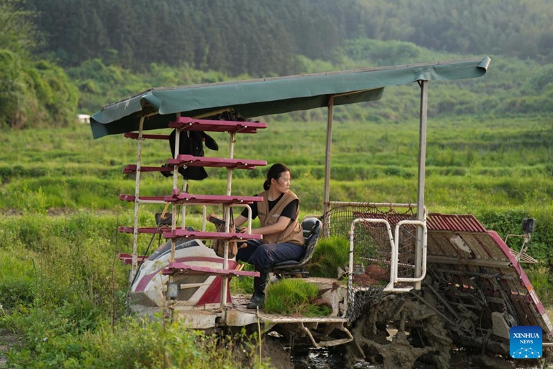 Habari picha: Mkulima mpya wa China aleta uvumbuzi na ujuzi shambani