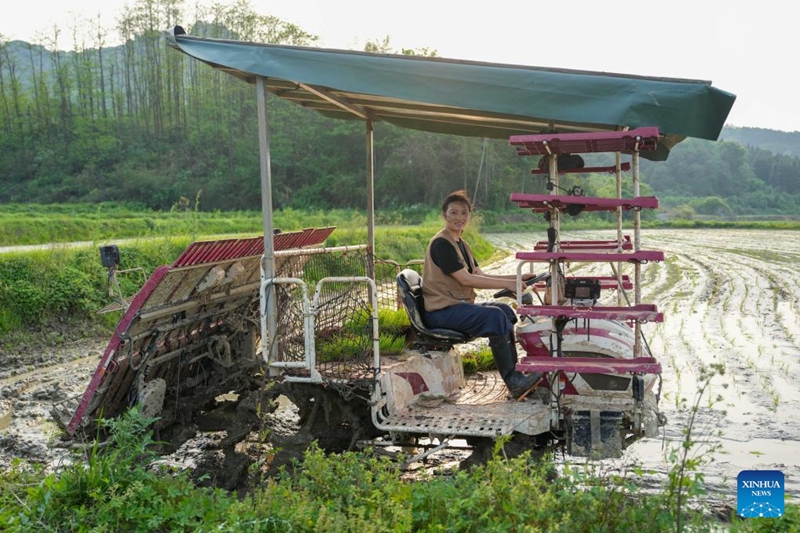 Habari picha: Mkulima mpya wa China aleta uvumbuzi na ujuzi shambani
