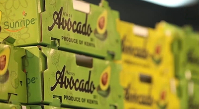 Sekta ya parachichi nchini Kenya kufaidika na sera ya ushuru sifuri ya China