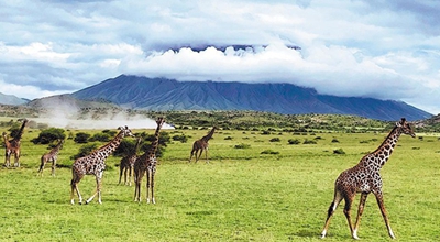 Tanzania yatarajia kupokea watalii zaidi kutoka China