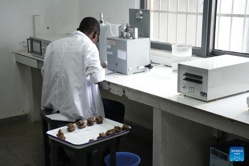 Sera ya ushuru-sifuri ya China yafungua fursa mpya kwa sekta ya mpira ya Cote d'Ivoire