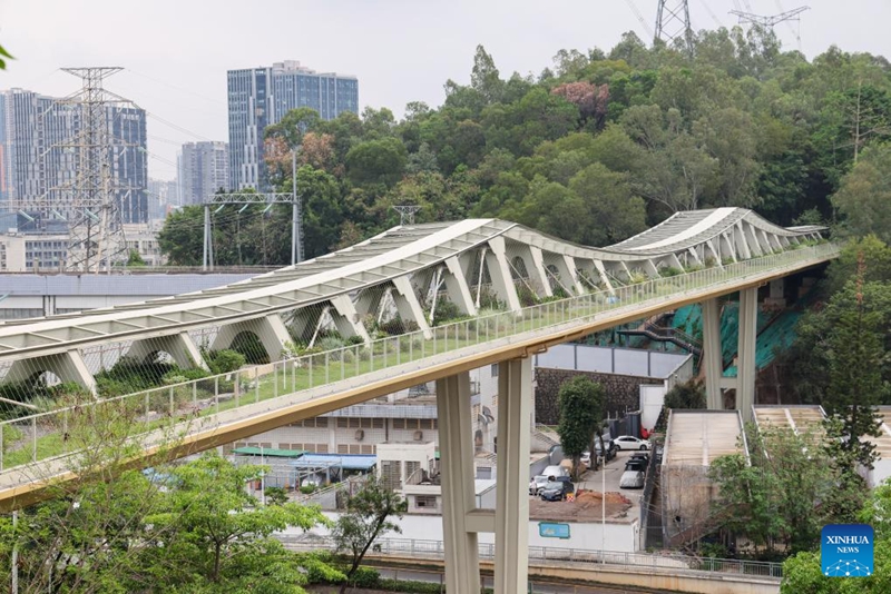 Mji wa Shenzhen, China wafuatilia njia ya kipekee ya uhifadhi wa bioanuwai katika maeneo ya mijini