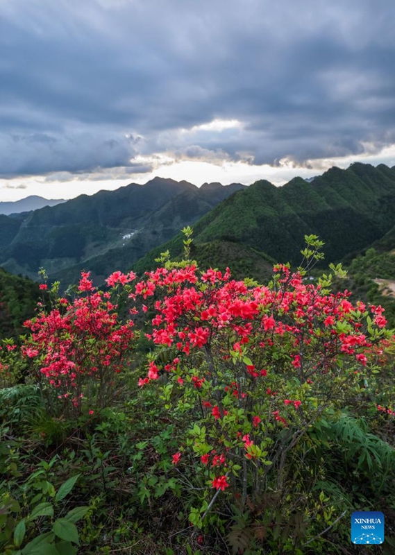 Kijiji cha Jinling mkoani Zhejiang China chaendeleza shughuli za utalii za kuhusisha utamaduni wa kijiji chenye mazingira mazuri ya asili