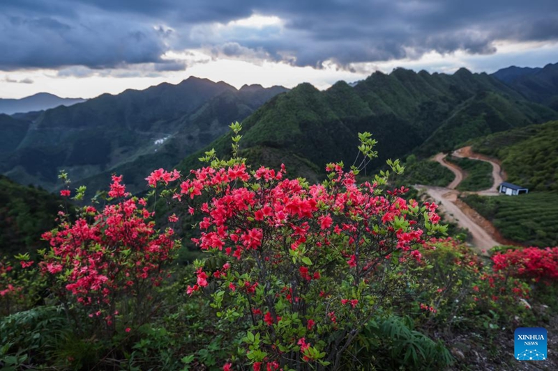 Kijiji cha Jinling mkoani Zhejiang China chaendeleza shughuli za utalii za kuhusisha utamaduni wa kijiji chenye mazingira mazuri ya asili