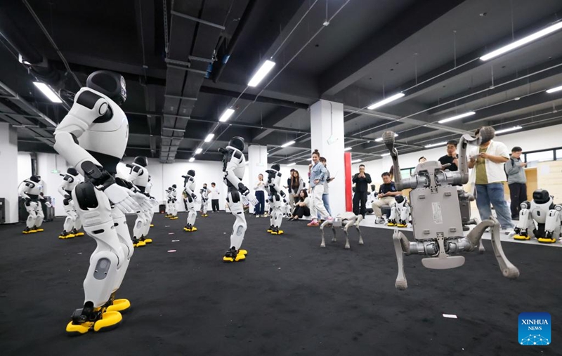 Eneo la viwanda vya kidijitali yaongeza uwezo wa viwanda vya teknolojia ya AI vya Tianjin