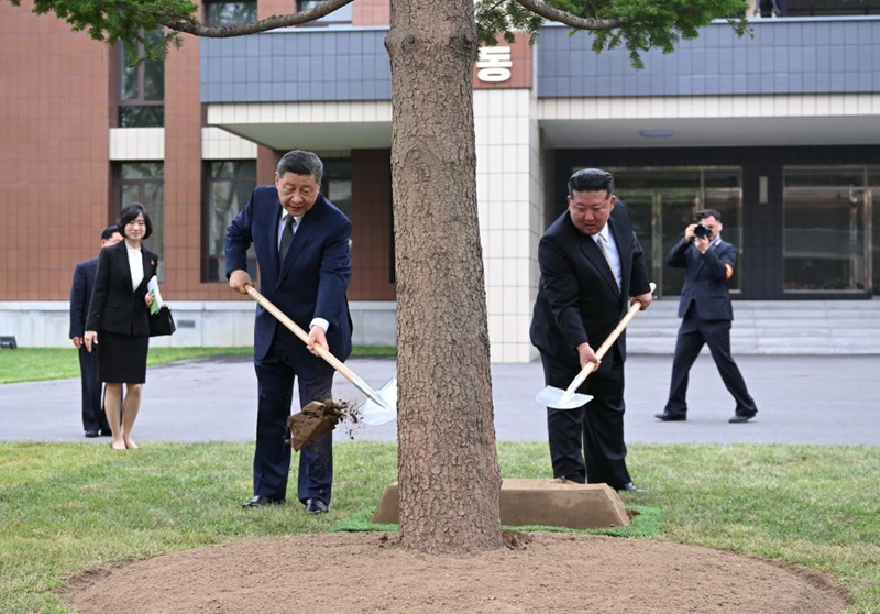 Xi Jinping na Kim Jong Un, kwa pamoja wakipanda mti wa fir katika sehemu yenye miti mingi kati ya majengo ya mafunzo ya Shule ya Mafunzo ya Makada ya Kamati kuu ya Chama cha WPK mjini Pyongyang, DPRK, Juni 9, 2026. (Xinhua/Yan Yan)