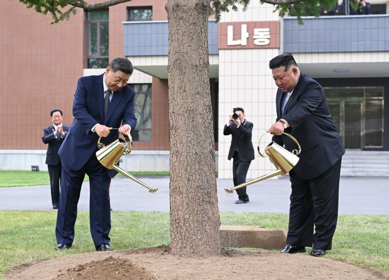 Xi Jinping na Kim Jong Un, kwa pamoja wakipanda mti wa fir katika sehemu yenye miti mingi kati ya majengo ya mafunzo ya Shule ya Mafunzo ya Makada ya Kamati kuu ya Chama cha WPK mjini Pyongyang, DPRK, Juni 9, 2026. (Xinhua/Yan Yan)