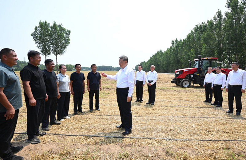 Rais wa China Xi Jinping, akiwa ameingia shambani na kufanya mazungumzo ya kikunjufu na wakulima wa nafaka, waendesha mashine za kilimo na mafundi wa kilimo katika Kijiji cha Dongyujia cha Eneo la Lingcheng la Mji wa Dezhou, Mkoa wa Shandong, mashariki mwa China, Juni 24, 2026. (Xinhua/Yan Yan)