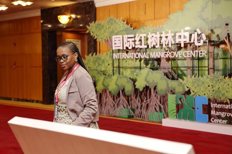 Kituo cha Kimataifa cha Mikoko chazinduliwa Shenzhen, China