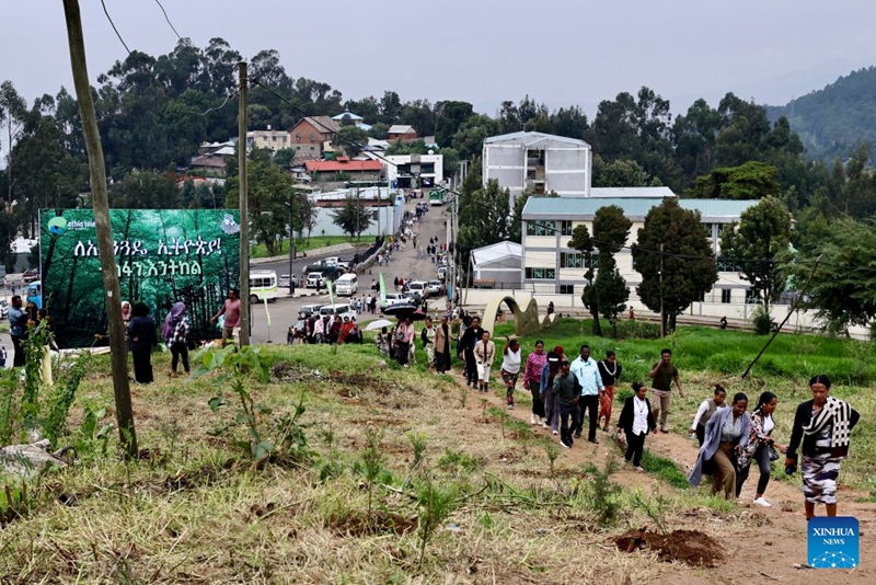 Watu wanashiriki kwenye kampeni ya nchi nzima ya upandaji miti kama sehemu ya Mpango mkuu wa Urithi wa Kijani wa nchi hiyo mjini Addis Ababa, mji mkuu wa Ethiopia, Agosti 3, 2026. (Xinhua/Geng Xinning)