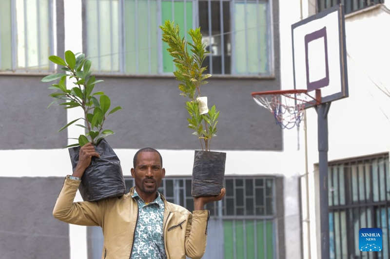 Jamaa akishiriki kwenye kampeni ya nchi nzima ya upandaji miti kama sehemu ya Mpango mkuu wa Urithi wa Kijani wa nchi hiyo mjini Addis Ababa, mji mkuu wa Ethiopia, Agosti 3, 2026. (Picha na Michael Tewelde/Xinhua)