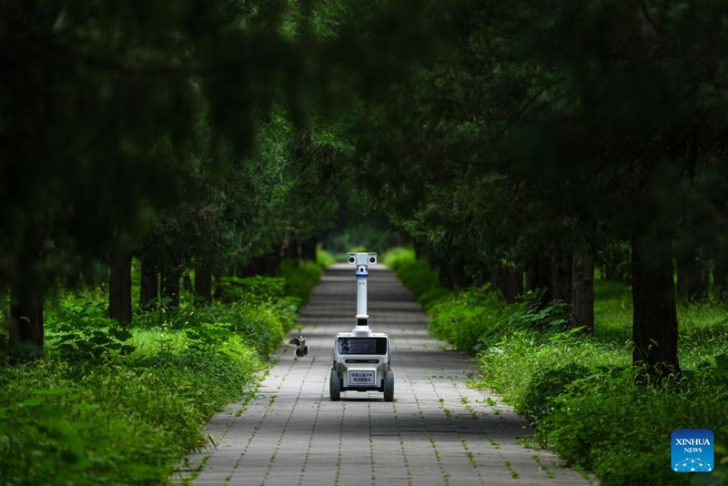 Roboti ikifanya doria kwenye Bustani ya Tiantan mjini Beijing Agosti 6, 2026. (Xinhua/Ju Huanzong)