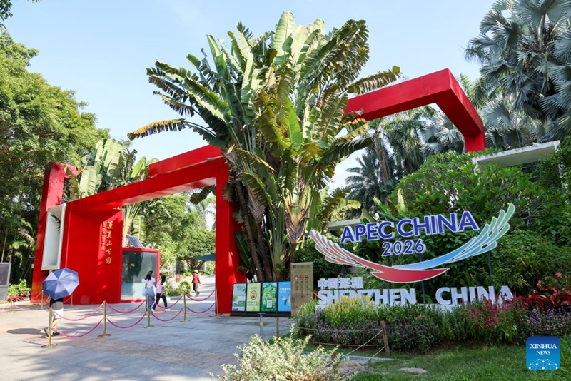 Siku 100 kuelekea APEC: Machaguo ya kijani ya Mji wa Shenzhen, China yapongezwa
