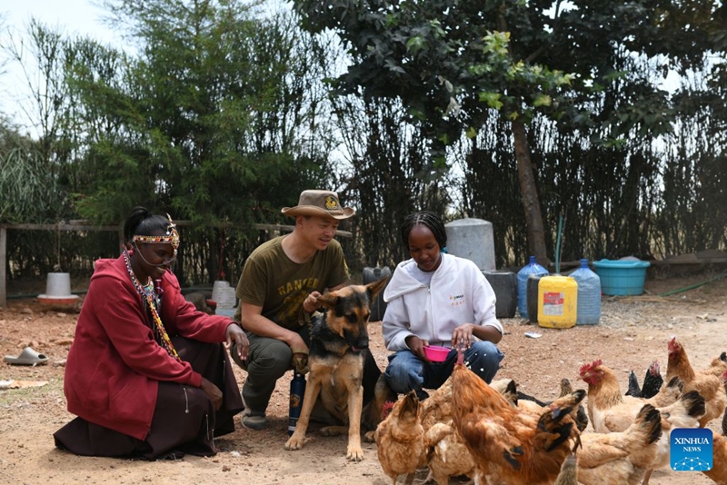 Zhuo Qiang (C) akitazama kuku wanaofugwa na wakazi wenyeji, Narok, Kenya, Agosti 12, 2026. (Xinhua/Liu Qiong)