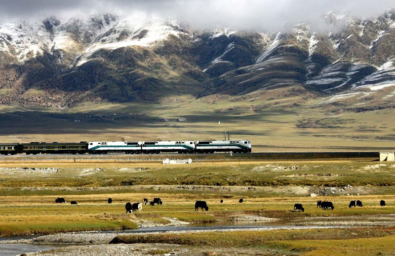Picha za zamani zabeba ushuhuda kwenye Muujiza wa Chuma wa Reli ya Qinghai-Xizang